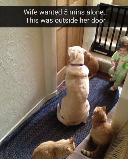 This Is Your Life If You Are The Parent Of A Toddler Loo